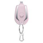 Mini Emergency Charger